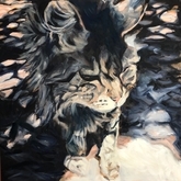 Cat 1