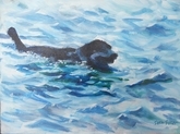 Retriever Dog