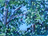 Summer trees (1)