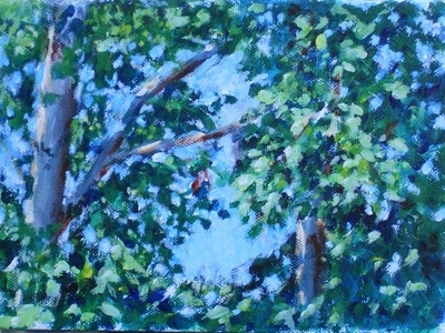 Summer trees (1)