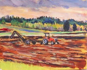 Tractor at Michell's Farm