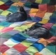 Zsa(s) on quilt 1